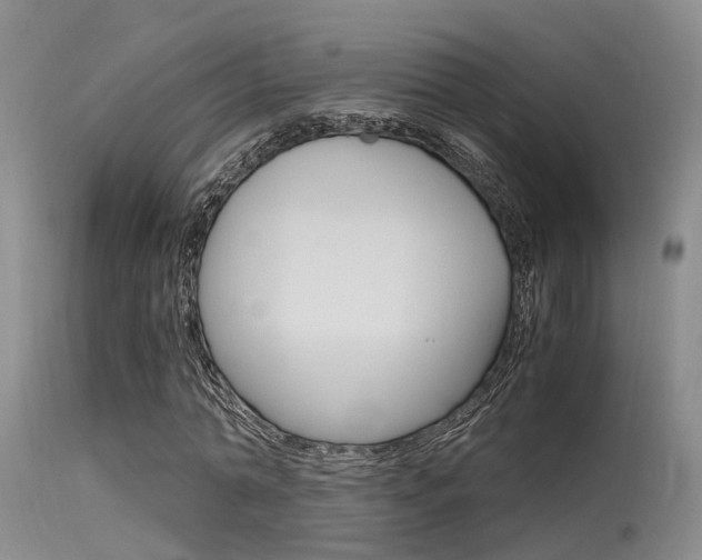 X0000115720774200911121102