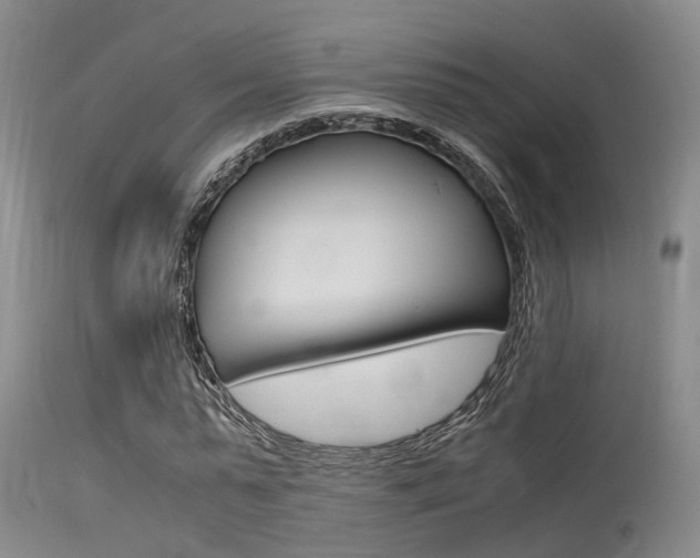 X0000115720775200911121102