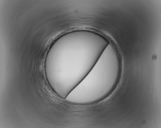 X0000115720777200911121102