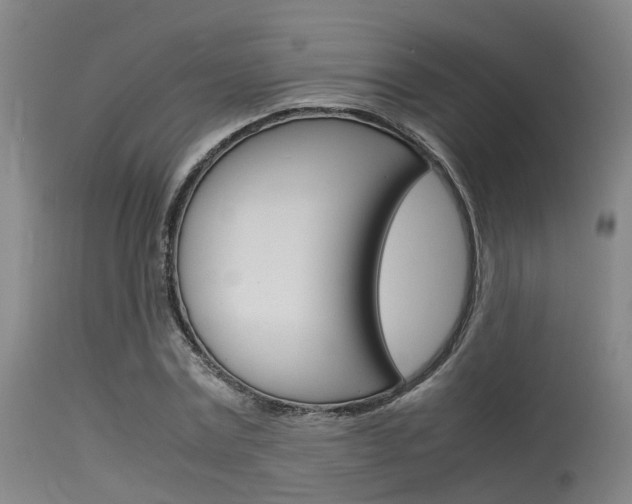 X0000115720779200911121102