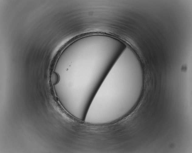 X0000115720780200911121102