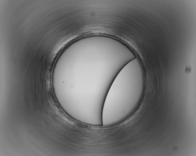 X0000115720782200911121102