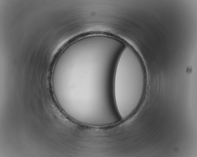 X0000115720783200911121101