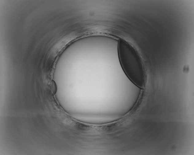 X0000115720785200911121101