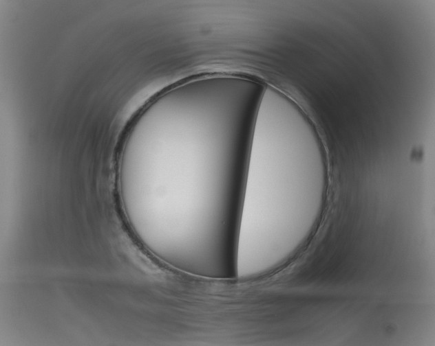 X0000115720787200911121101