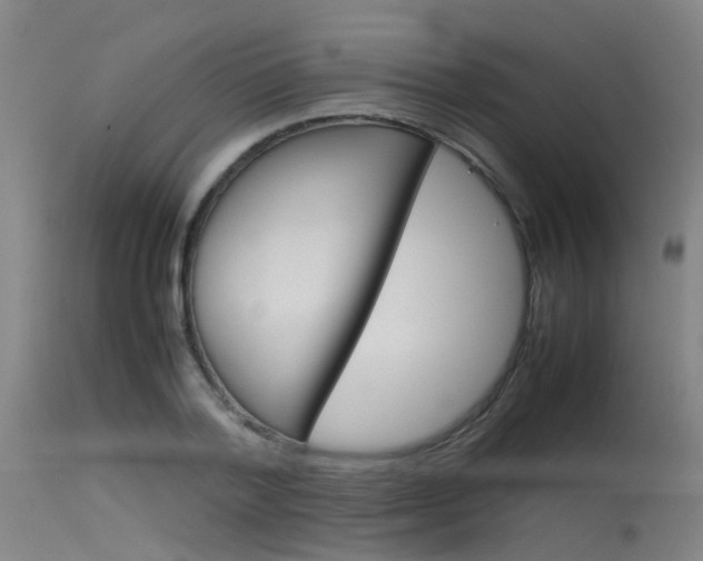 X0000115720788200911121101