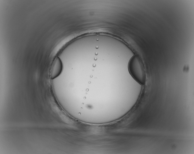 X0000115720789200911121101