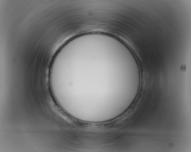 X0000115720790200911121101