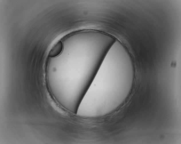 X0000115720792200911121101
