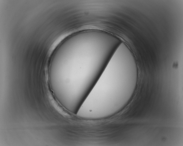 X0000115720796200911121101