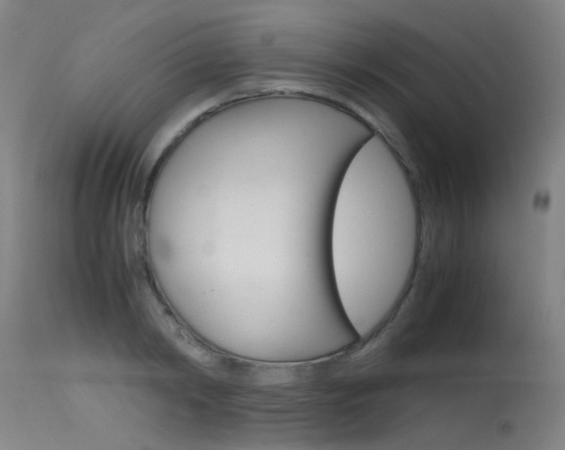 X0000115720798200911121101