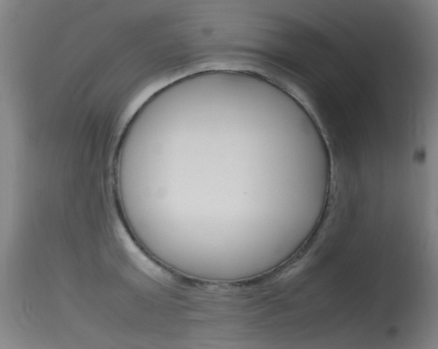 X0000115720803200911121101