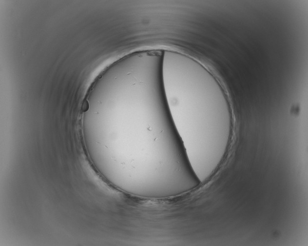 X0000115720805200911121101