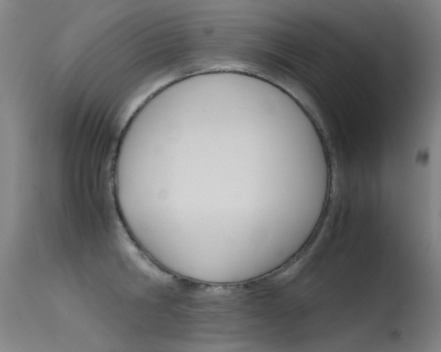 X0000115720806200911121101