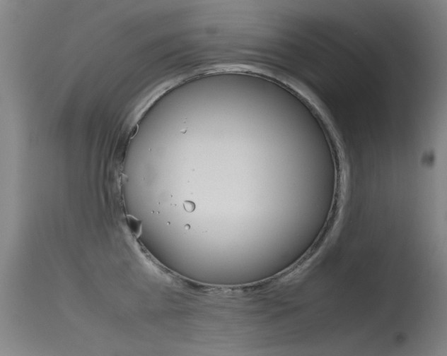 X0000115720809200911121101