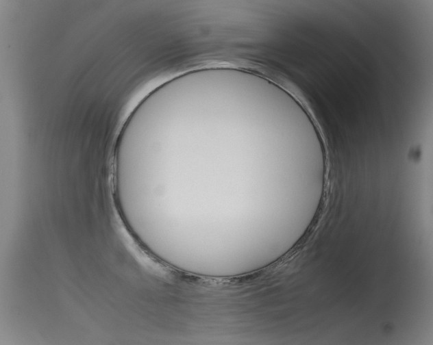 X0000115720811200911121101