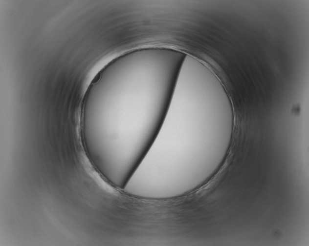 X0000115720812200911121101