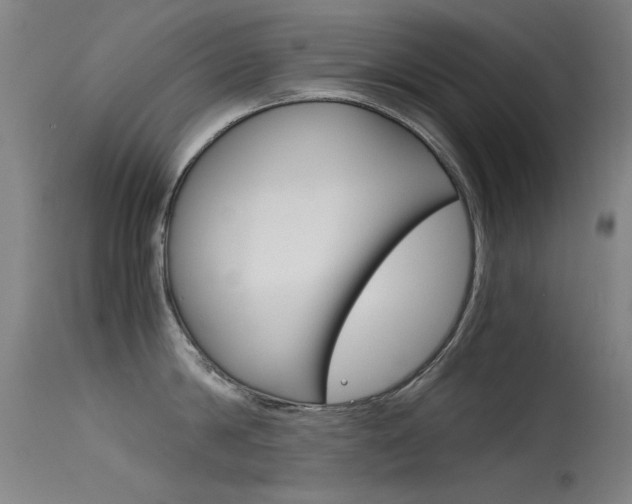 X0000115720814200911121101