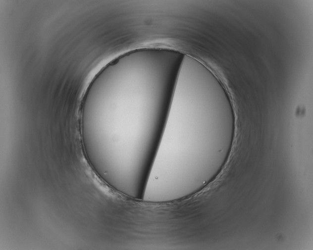 X0000115720816200911121101