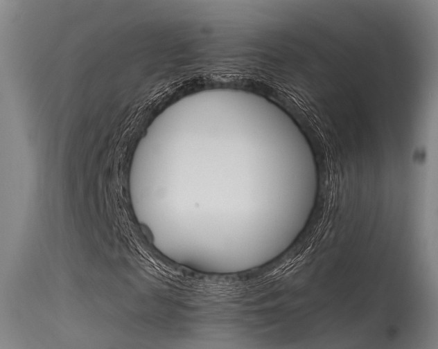 X0000115720817200911121100