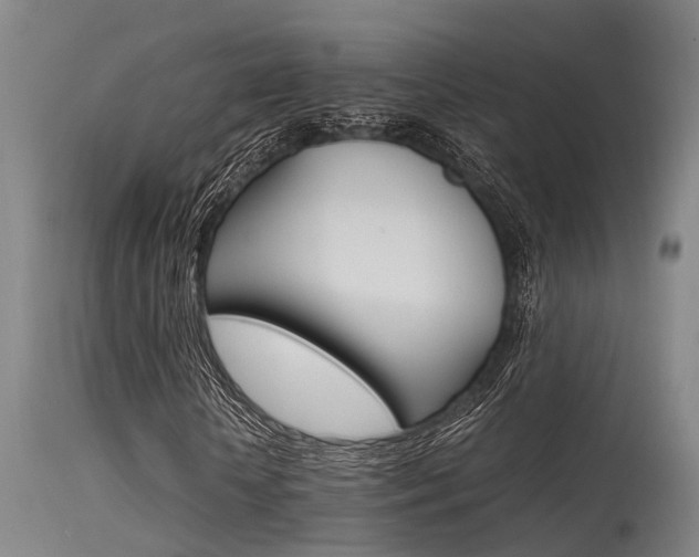 X0000115720818200911121100