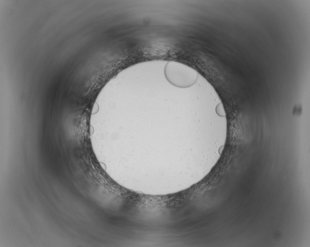X0000115720820200911121100