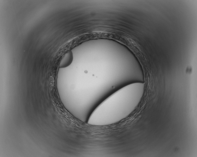 X0000115720821200911121100