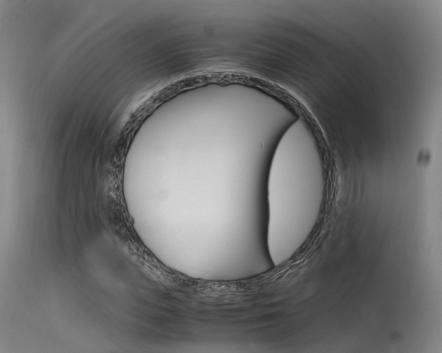X0000115720823200911121100