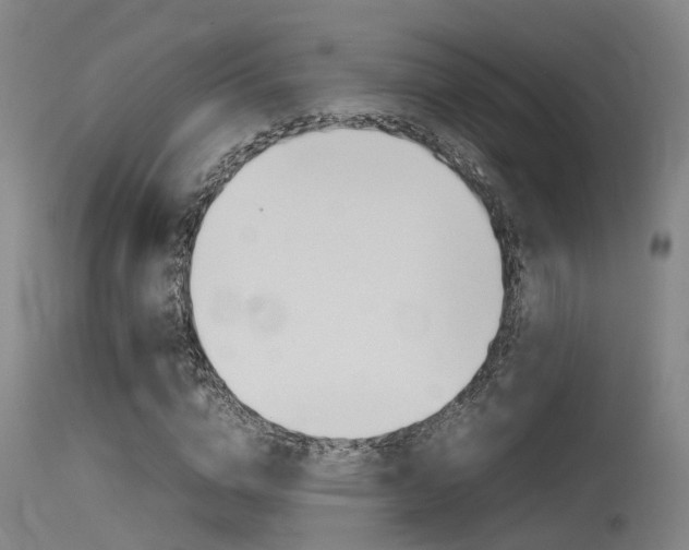 X0000115720824200911121100