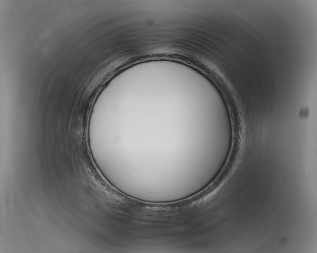 X0000115720825200911121100