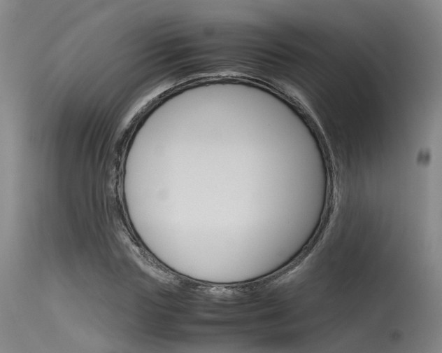 X0000115720827200911121101