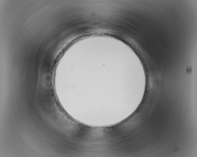 X0000115720828200911121101