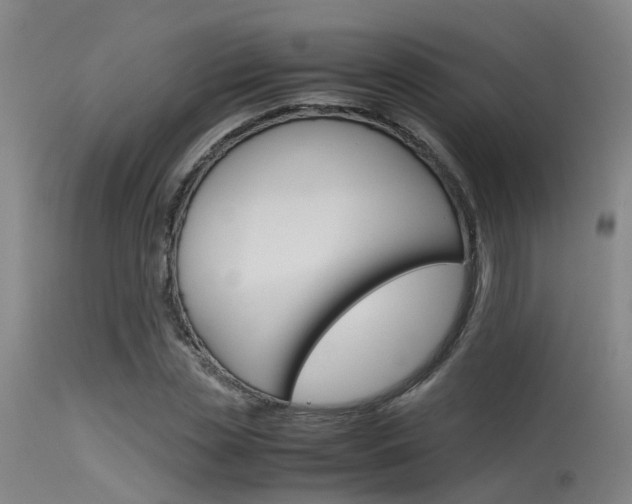 X0000115720829200911121101