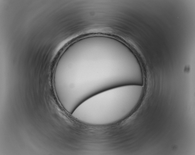 X0000115720830200911121101
