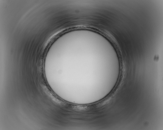 X0000115720831200911121101