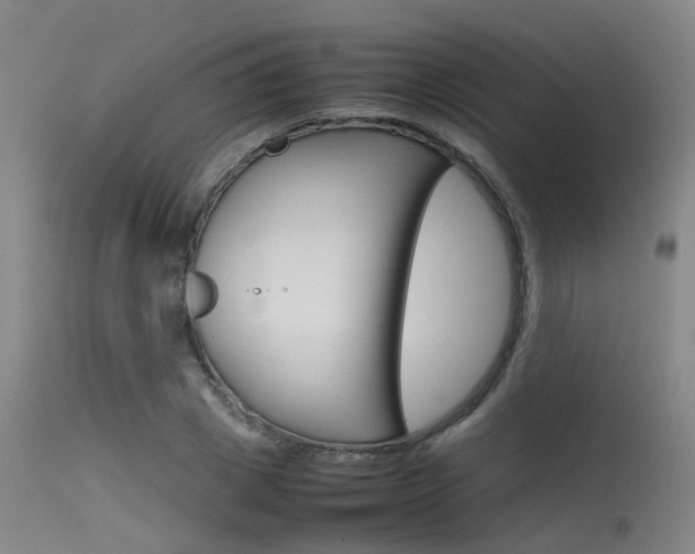 X0000115720833200911121101
