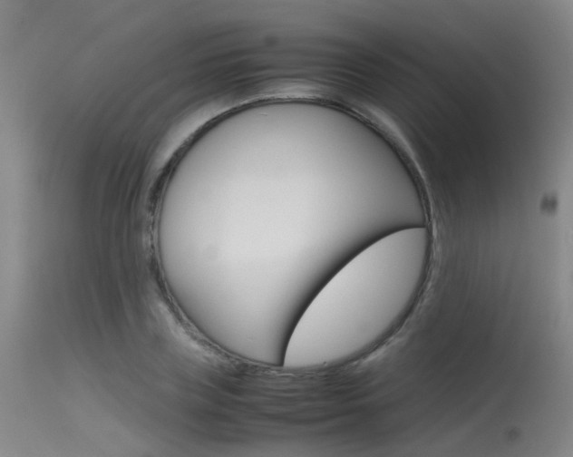 X0000115720835200911121101