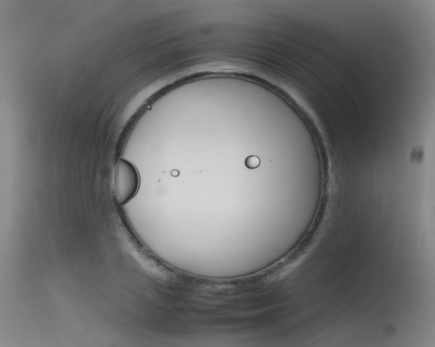 X0000115720837200911121101
