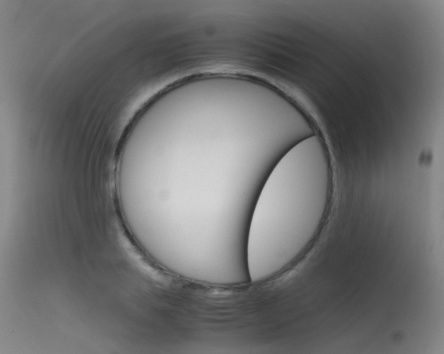 X0000115720839200911121101
