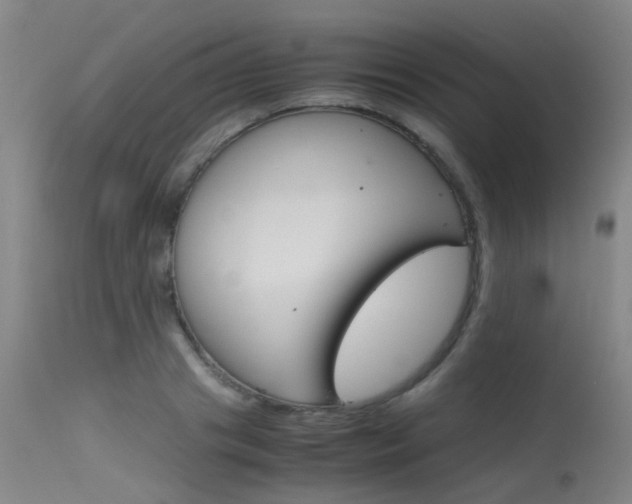 X0000115720841200911121101