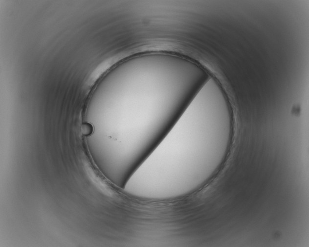 X0000115720842200911121101
