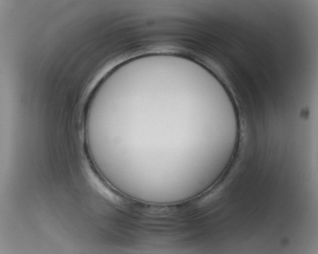 X0000115720843200911121101