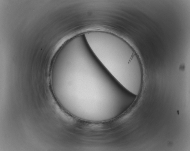 X0000115720845200911121101