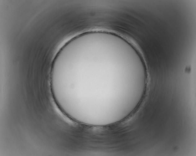X0000115720847200911121101