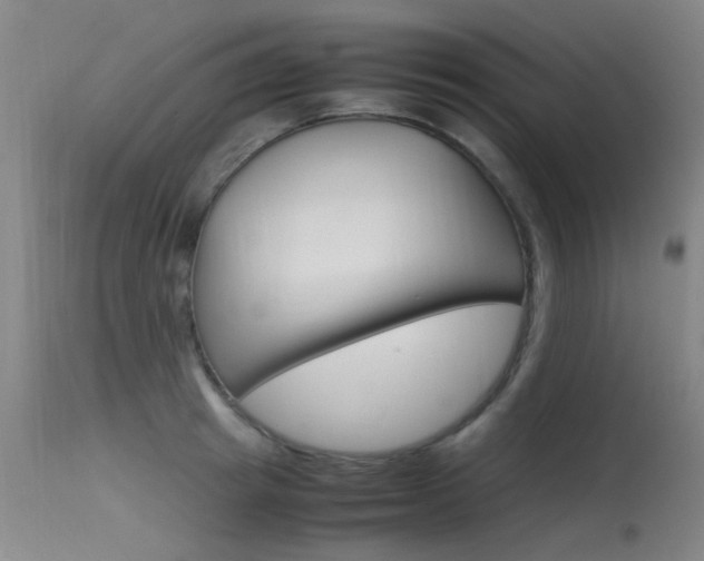 X0000115720849200911121101