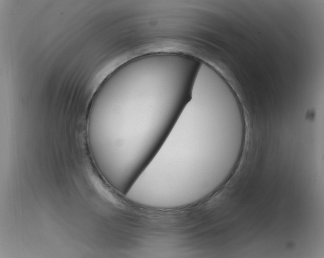 X0000115720850200911121101