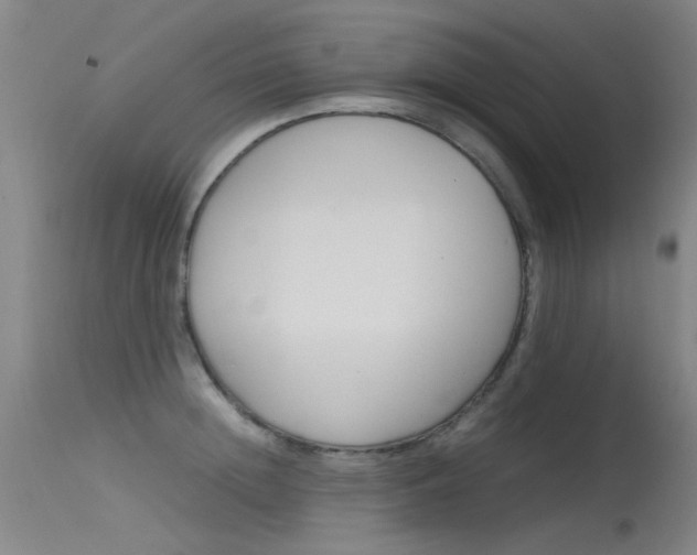 X0000115720852200911121101