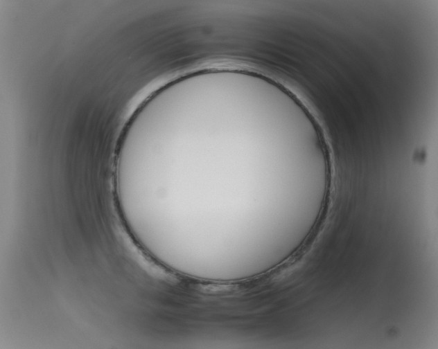 X0000115720853200911121101