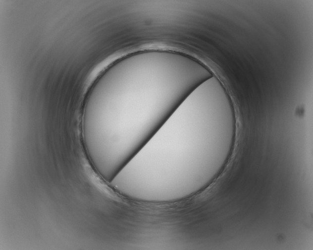X0000115720854200911121101