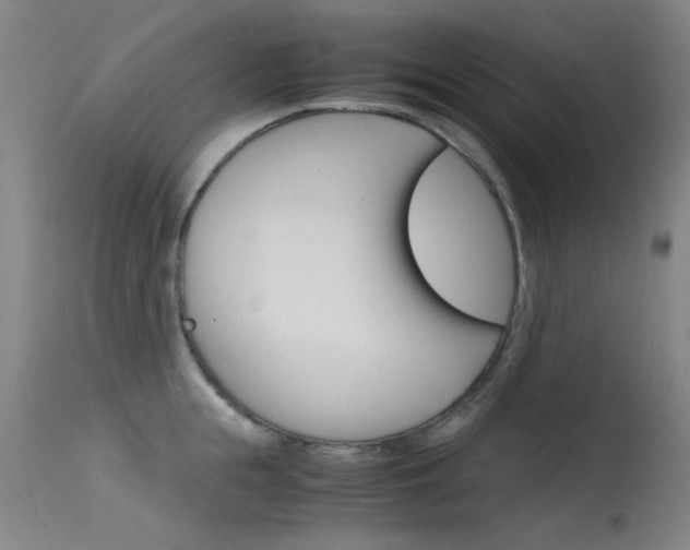X0000115720855200911121101